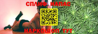 гашик Дубна