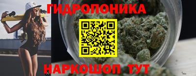 гашик Дубна
