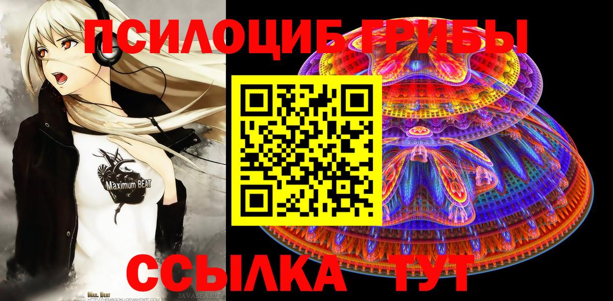 Химки  купить наркотики цена  Галлюциногенные грибы мухоморы  Вход с VPN  Галлюциногенные грибы мицелий 