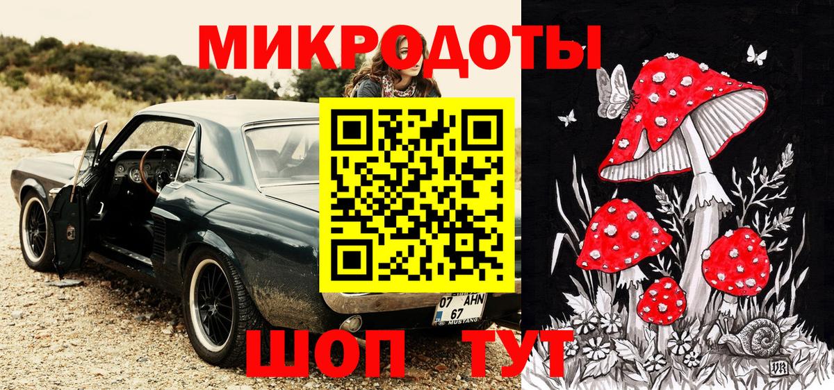 Псилоцибиновые грибы Psilocybe Химки